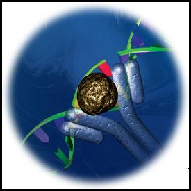 Click to go to Gentaur's products